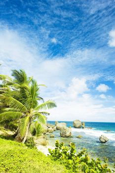 Bathsheba, East coast of Barbados, Caribbean