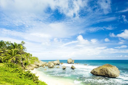 Bathsheba, East coast of Barbados, Caribbean