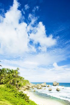 Bathsheba, East coast of Barbados, Caribbean