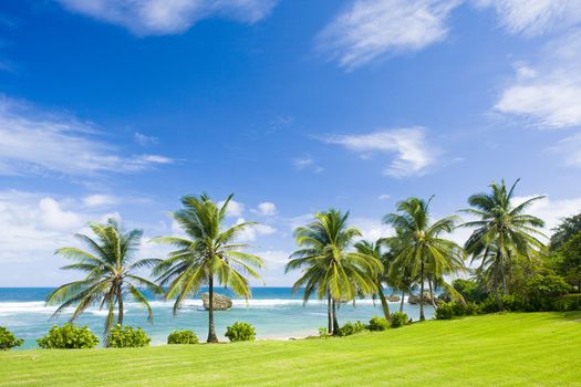 Bathsheba, East coast of Barbados, Caribbean