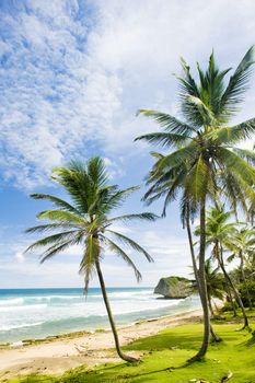 Bathsheba, Eastern coast of Barbados, Caribbean