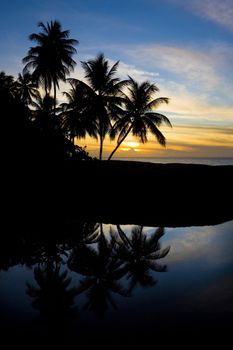 sunset over Caribbean Sea, Turtle Beach, Tobago