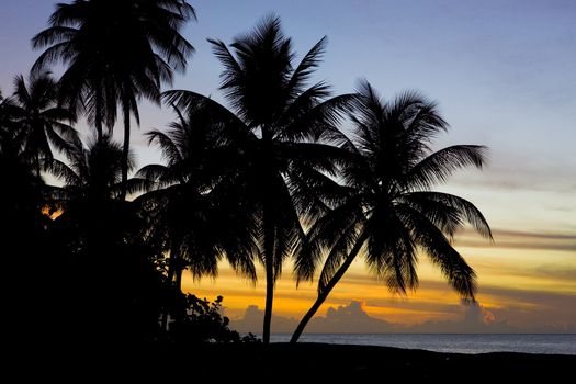 sunset over Caribbean Sea, Turtle Beach, Tobago