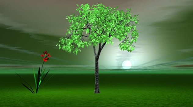 landscape green and flower red