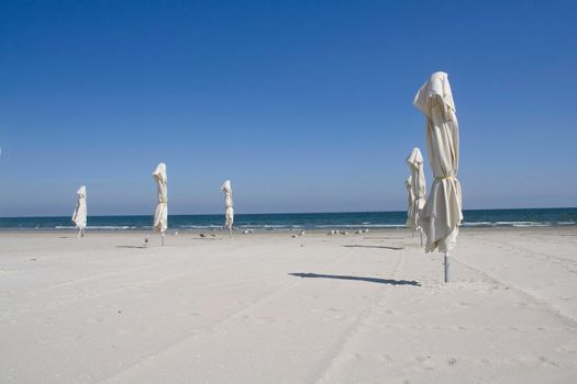 white umbrellas on the beach