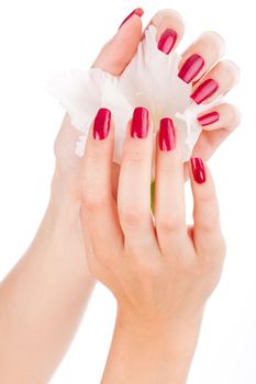 Closeup image of beautiful nails and fingers with flower over isolated white