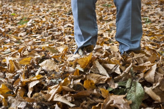 Legs with shoes covered in dry yellow leaves.