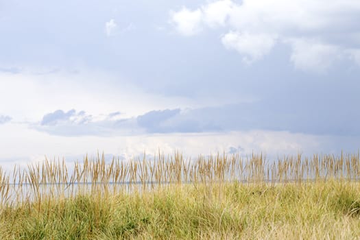 Grassy hilltop overlooking lakeshore