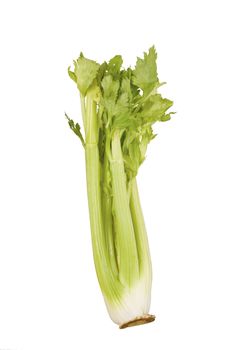 Stalk of green celery isolated on white