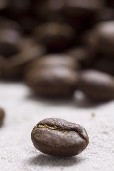 Roasted coffee beans on jute sacking