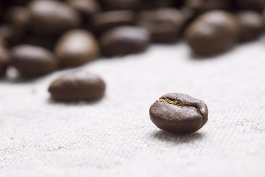 Roasted coffee beans on jute sacking