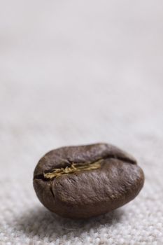 Roasted coffee beans on jute sacking