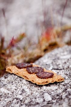A cracker with slices of meat - Shallow depth of field with focus on first meat slice
