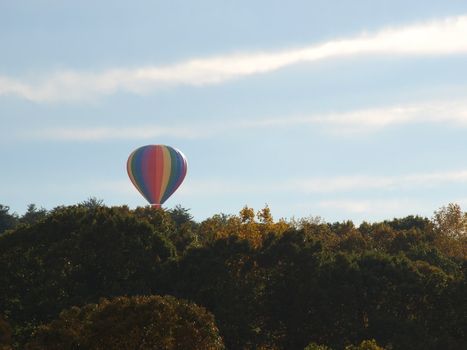 Hot air balloon festival in rural North Carolina. Rising over the trees