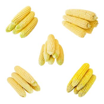 set of corn isolated on the white background