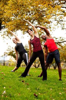 A group of people exercising in a park