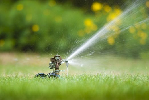 Lawn sprinkler spraying water over green grass at summer