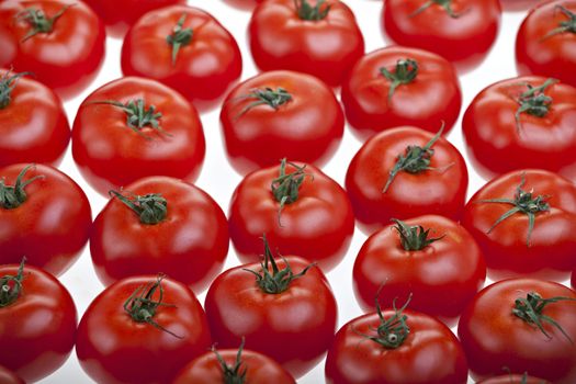 lots of tomatoes isolated on white