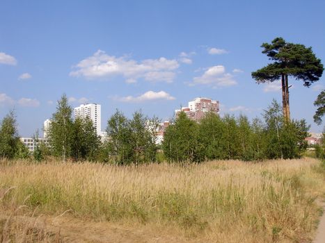 Landscape in city with field in front and city ob background