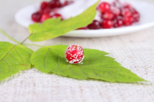 Cowberry sprinkled with sugar on green sheet removed close up against a saucer with berries