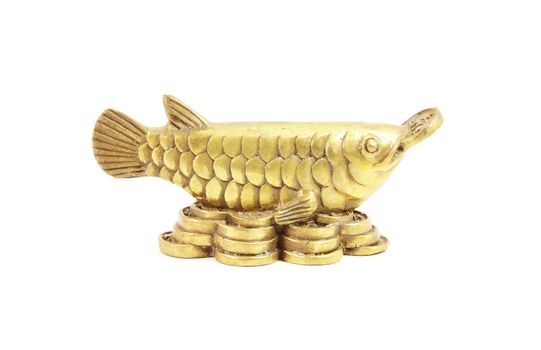 Feng Shui Arowana Fish Used to Boost Wealth