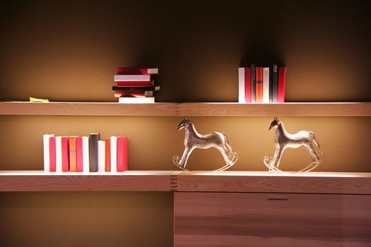 books on a shelf in the living room