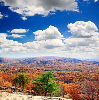 The foliage scenery from the top of Bear Mountain in New York State 