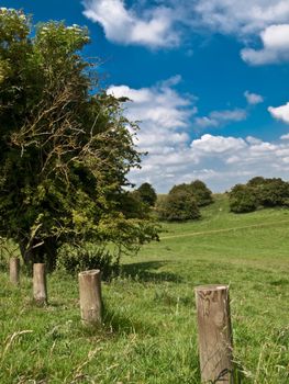 a meadow in avon great for picnic's on a sunny day