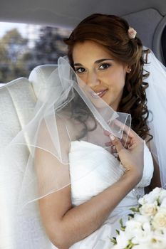 The beautiful bride is closed by a veil