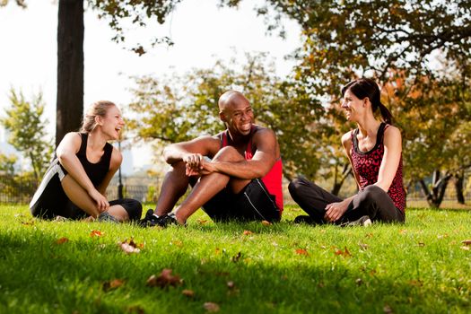 A group of people relaxing in the park after exercise