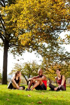 A group of people relaxing in the park after exercise