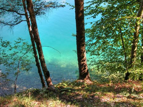 Auronzo Lake, Italy