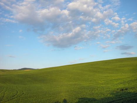 Detail of Tuscan Countryside, Italy