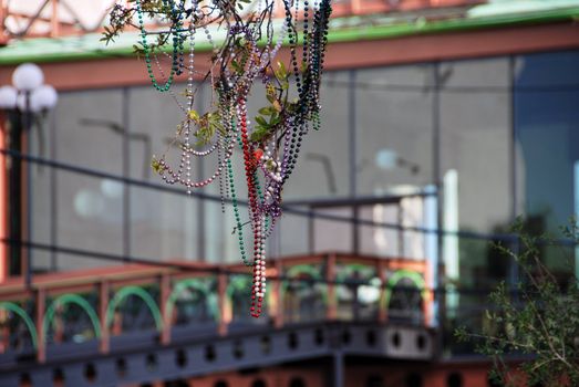 Beads attached to a tree, New Orleans