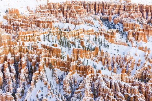 Bryce Canyon National Park in winter, Utah, USA