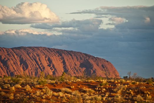 Detail of the Ayers Rock National Park, Northern Territory, Australia, August 2009