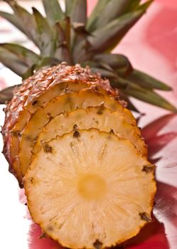food series: sliced pineapple, tropical fruit (Ananas comosus)