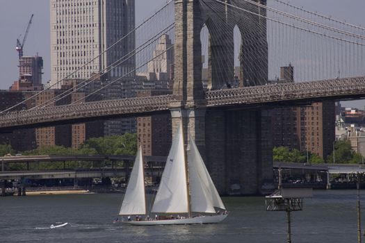 Sailing under the Brooklyn Bridge on Memorial Day 2008. This was gorgeous weather and kicked off the summer season in New York City. Shot from the Brooklyn Promenade.