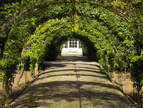 Bridal path along garden