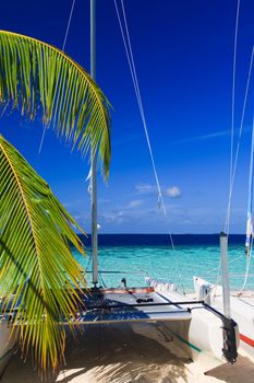 Tropical Paradise at Maldives with palms and blue sky