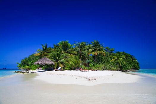 Tropical Paradise at Maldives with palms and blue sky
