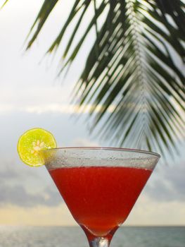 Drink on the Beach at eventing with ocean and palm as background