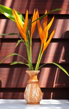 An orange flower in front of a wooden background with sunlight and shadows