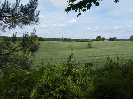 Spring summer green field with blue sky landscape backround