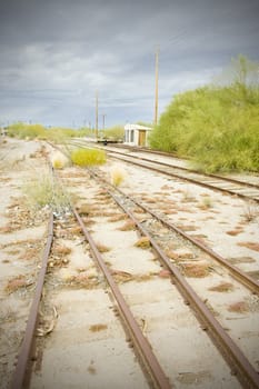 overgrown tracks, Arizona, USA