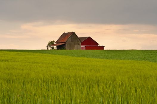 barn in sunset light