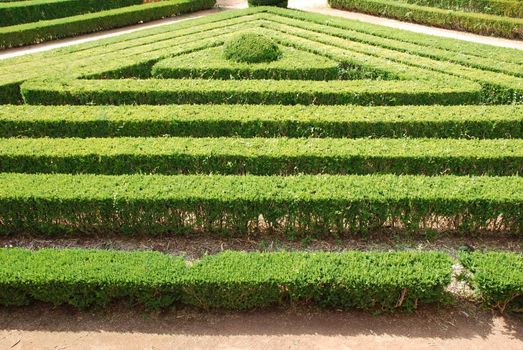 beautiful garden with triangular bushes well cuted