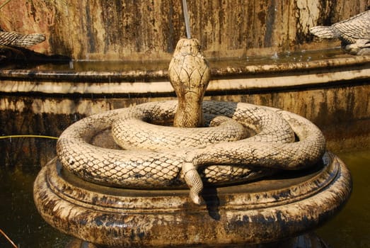 photo of a beautiful and antique snake fountain