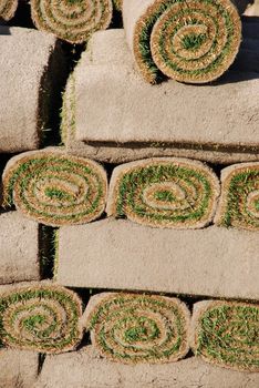 healthy green rolls of sod ready to be installed