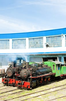 steam locomotives in depot, Kostolac, Serbia